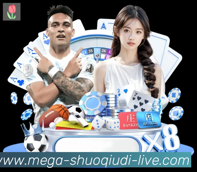 未来规划